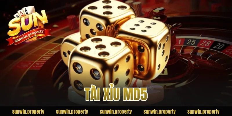 Tài Xỉu MD5 Sunwin – Trò Chơi Cá Cược Ngẫu Nhiên Minh Bạch